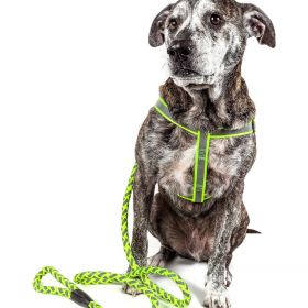 Reflective Stitched Easy Tension Adjustable 2-in-1 Dog Leash and Harness (size: large)